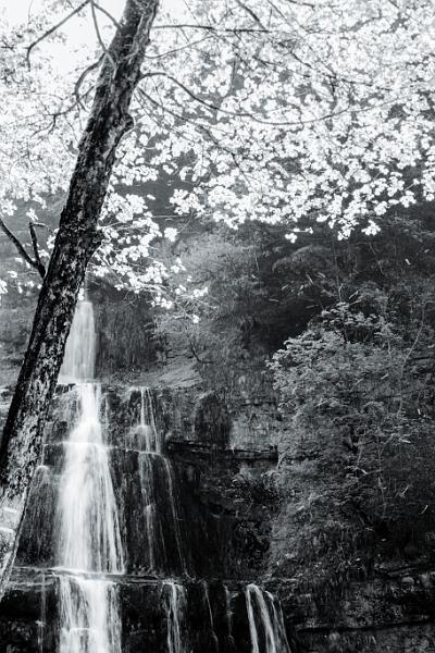 2018_05_07_Jura (0043_b-w).jpg - Cascades du Hérissons, Jura (Mai 2018)